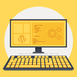استفاده از افزونه یا اضافه کردن کد به functions.php در وردپرس؟