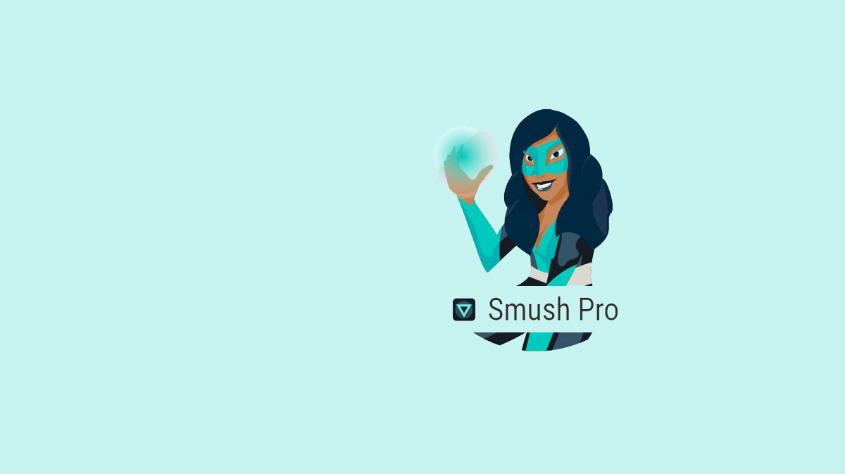 افزونه Smush | بهترین افزونه های کاهش حجم تصاویر وردپرس