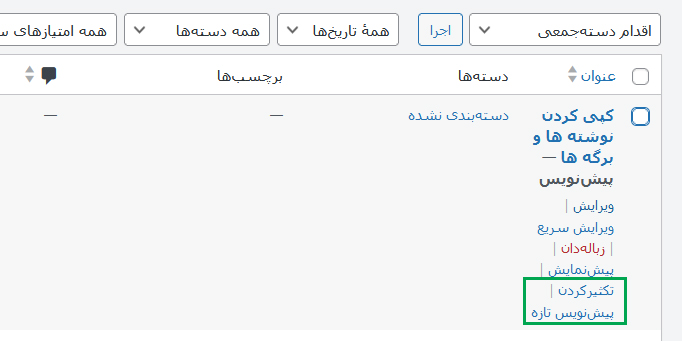 کپی کردن نوشته ها و برگه ها با Duplicate Post