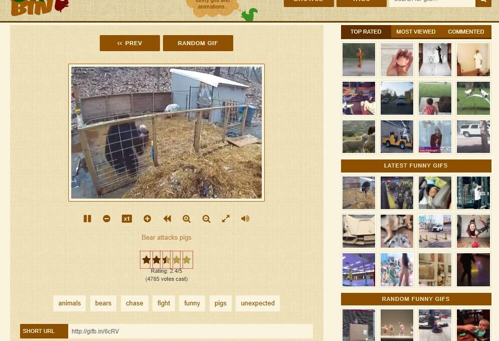 سایت گیف GIFbin